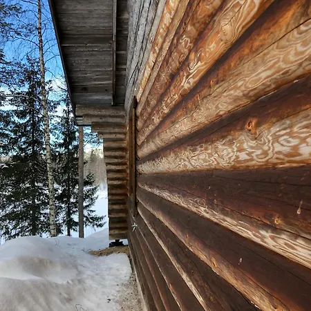 Logcabin, Sauna, Fireplace, View, Kitchen 別荘
