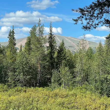 Logcabin, Sauna, Fireplace, View, Kitchen *