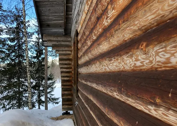 Logcabin, Sauna, Fireplace, View, Kitchen Tatil Evi