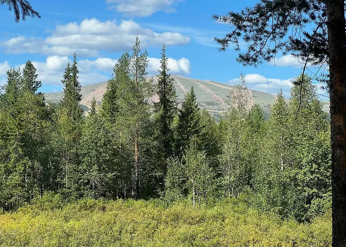 Logcabin, Sauna, Fireplace, View, Kitchen *